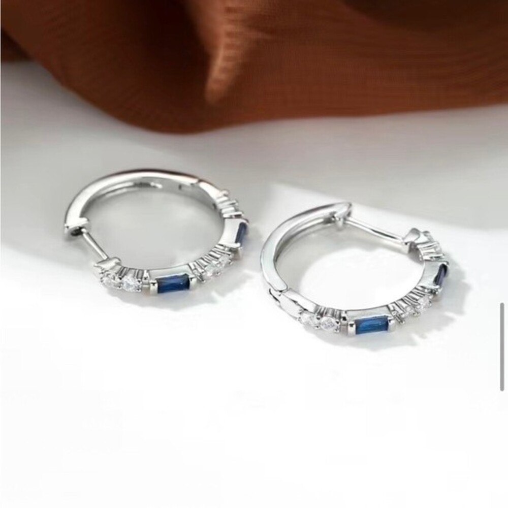 Zircon Blue & White Silver Earrings